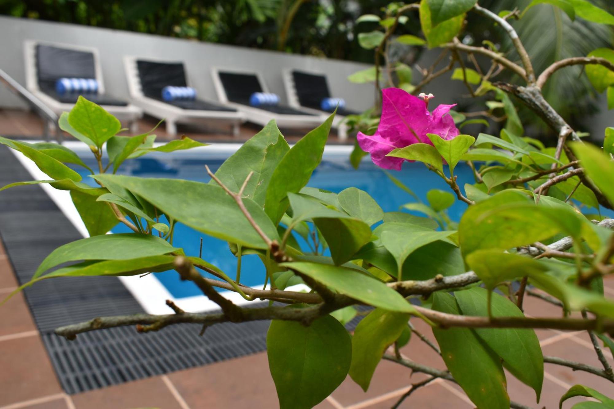 Sea Cloud Hotel Unawatuna Luaran gambar